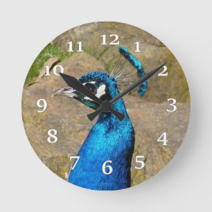 Horloge murale Peacock