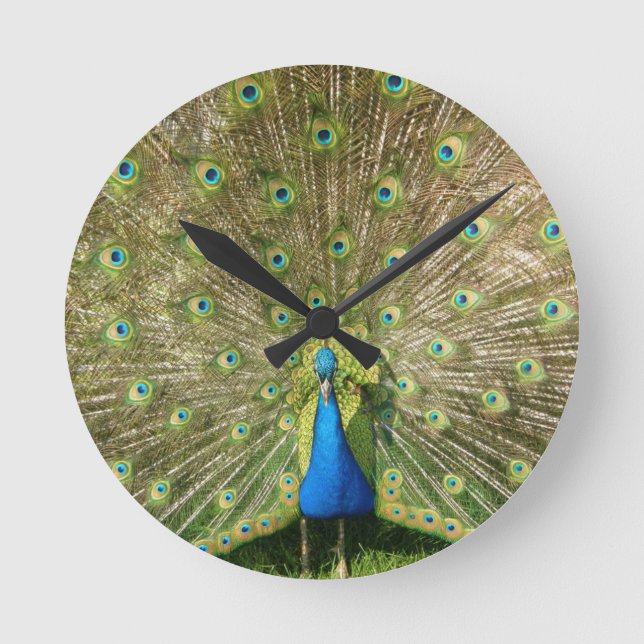 Horloge murale Peacock colorée (Recto)
