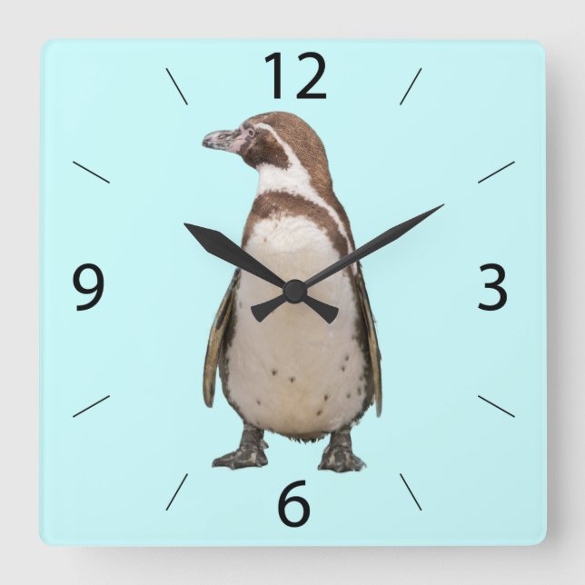 Horloge murale pingouin (Recto)