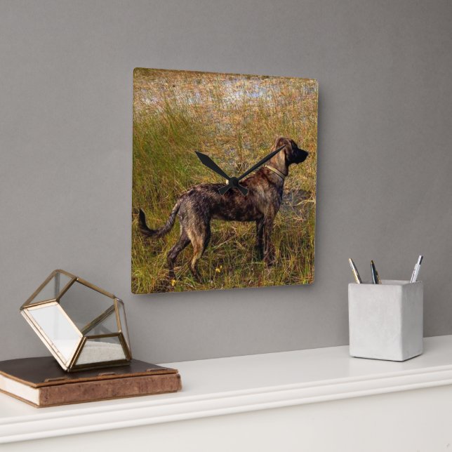 Horloge murale pour chien de chasse Plott Hound (Bureau)