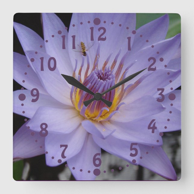 Horloge murale pourpre de nénuphar avec l'abeille (Recto)