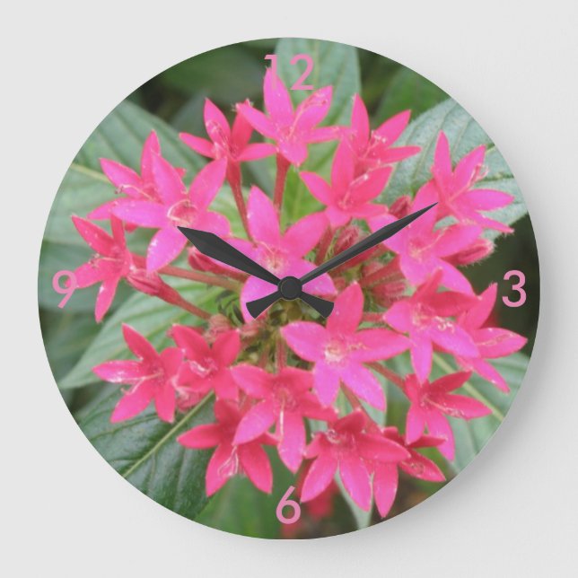 Horloge murale rose vif Fleurs tropicales (Recto)