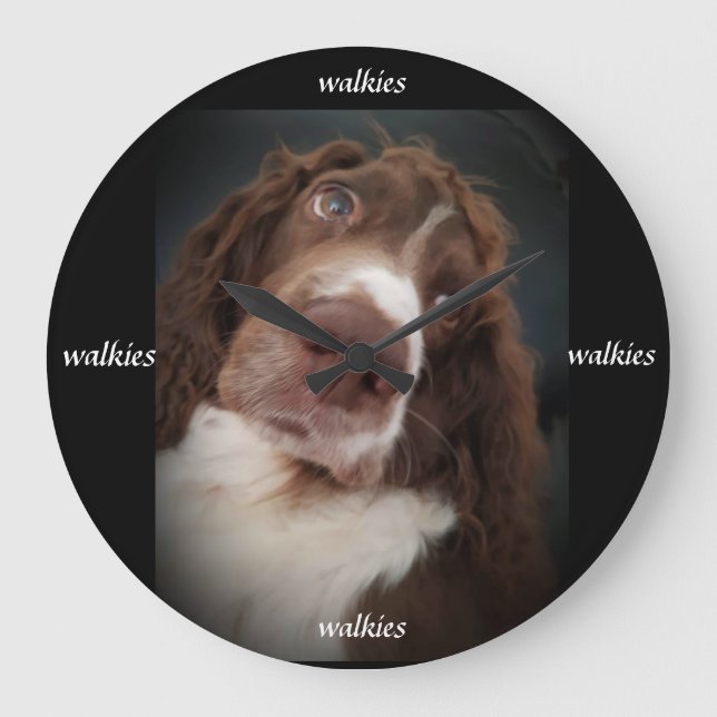 Horloge murale spanière Springer (Recto)