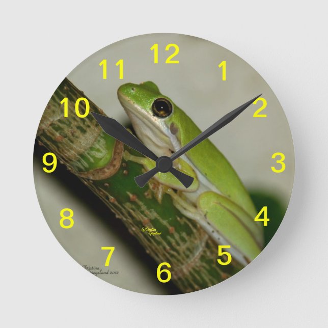 Horloge murale verte de grenouille d'arbre (Recto)