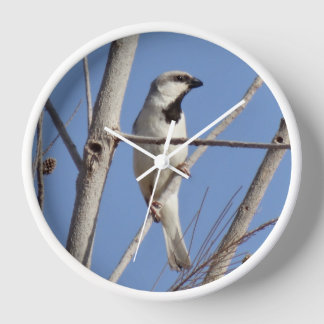 Horloge Oiseau chanteur du désert sur une branche d'hiver