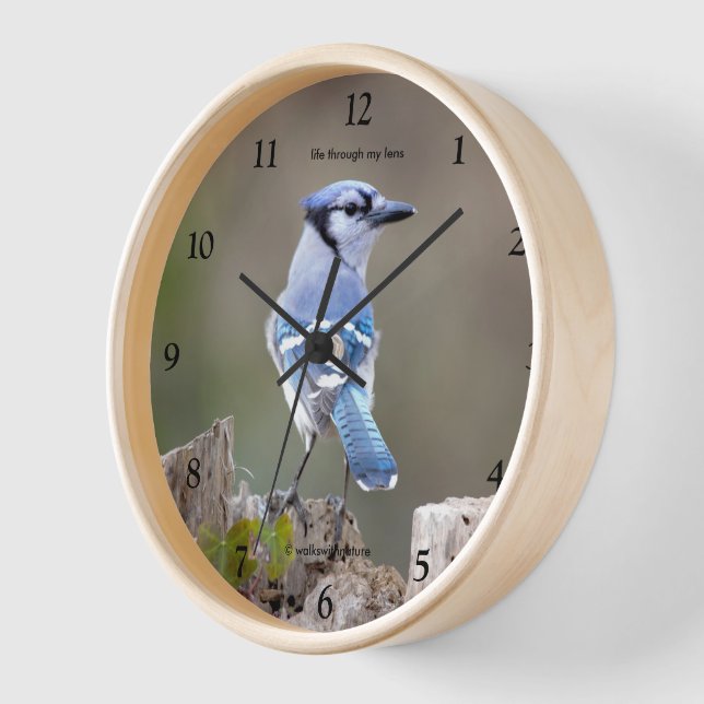 Horloge Oiseau chanteur Geai bleu mignon posant sur une so (Angle)