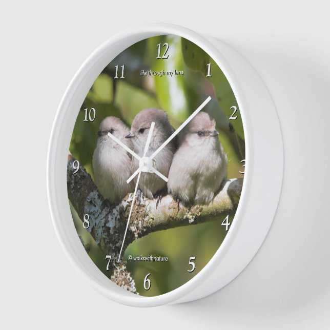 Horloge Oiseaux Chanteurs Bébés Mésanges à Tête Noire dans (Angle)