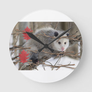 Horloge Opossum