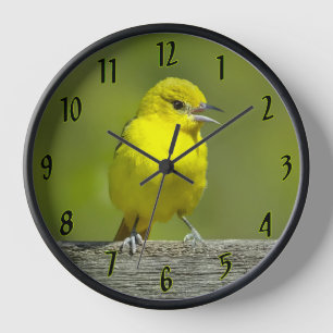 Horloge Orchard Oriole - Photo originale