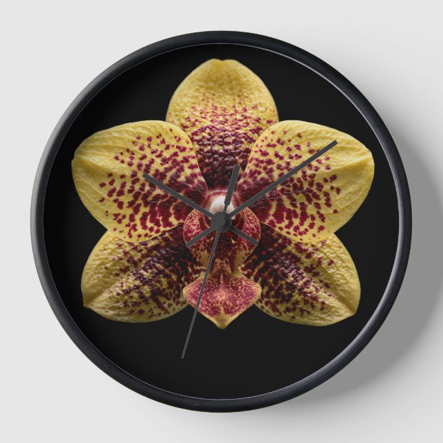 Horloge Orchidée sur fond noir (Recto)