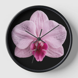 Horloge Orchidée sur fond noir