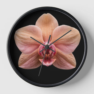 Horloge Orchidée sur fond noir