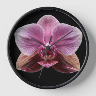 Horloge Orchidée sur fond noir