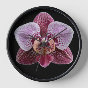 Horloge Orchidée sur fond noir