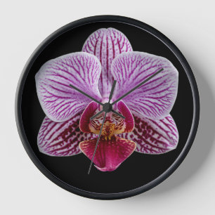 Horloge Orchidée sur fond noir