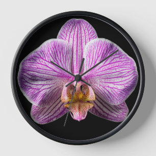 Horloge Orchidée sur fond noir