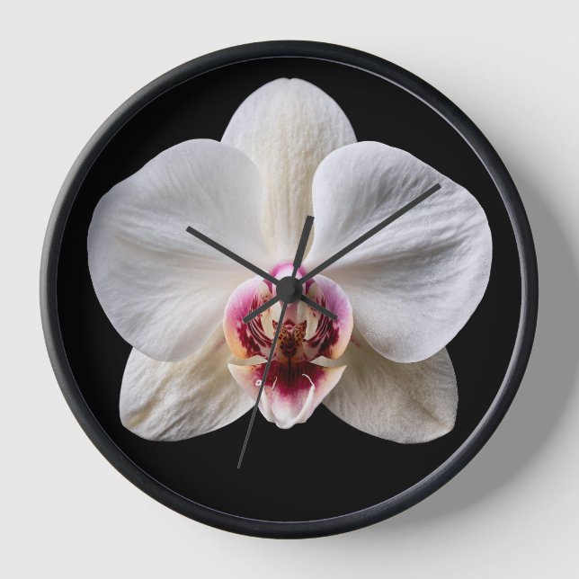 Horloge Orchidée sur fond noir (Recto)