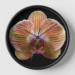 Horloge Orchidée sur fond noir