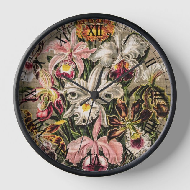 Horloge Orchidées par Ernst Haeckel (Recto)