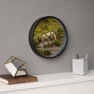 Horloge Ours blanc d'esprit chasse le poisson dans le ruis
