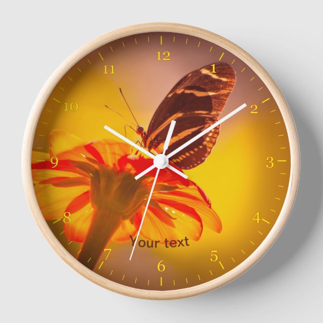 Horloge Papillon zèbre à aile longue sur la fleur de Titho (Recto)