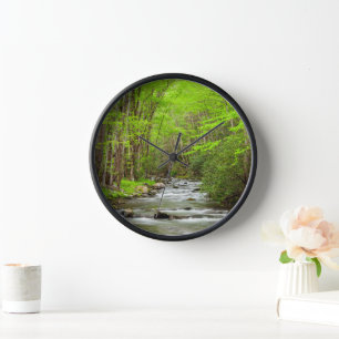 Horloge Parc national des Great Smoky Mountains Caroline d