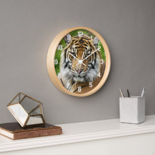Horloge Photo Big Cat Sumatran Tiger