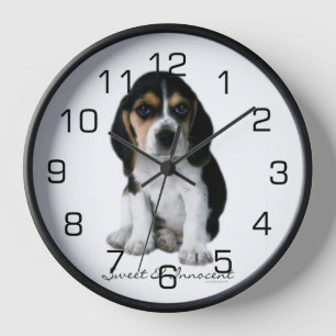 Horloge Photo Chien Chien beagle