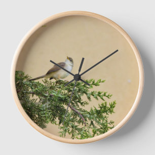 Horloge Photographie charmante d'un oiseau moineau