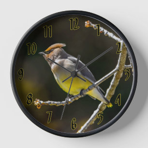 Horloge Photographie originale d'oiseau sauvage de Jaseur