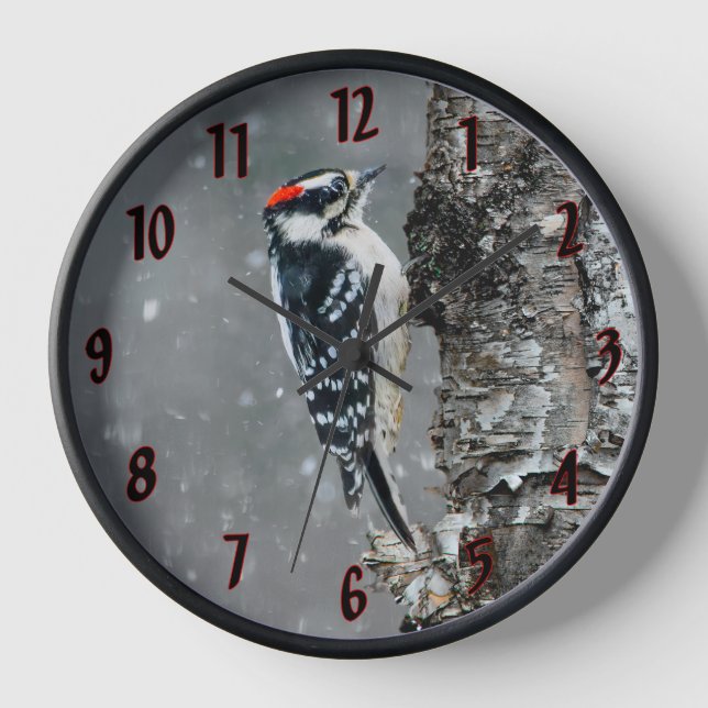 Horloge Pic Downy en neige - Photo originale (Recto)