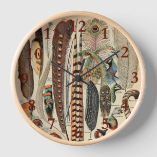 Horloge Plumes d'oiseaux sauvages Antique