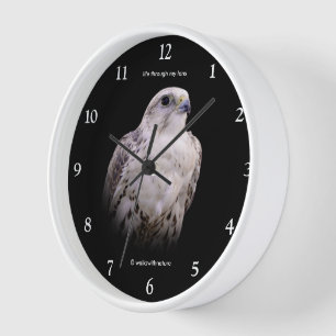 Horloge Portrait signé d'un faucon de Saker curieux