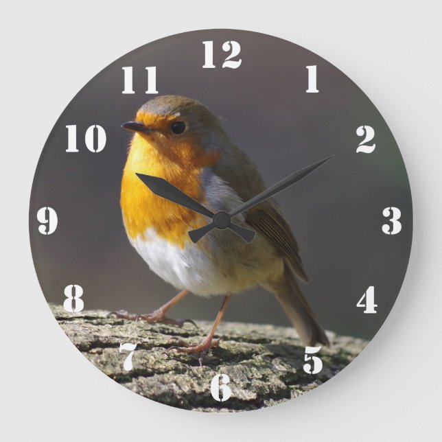 Horloge Robin (Recto)