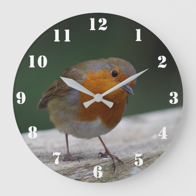 Horloge Robin (Recto)