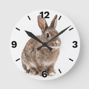 HORLOGE RONDE