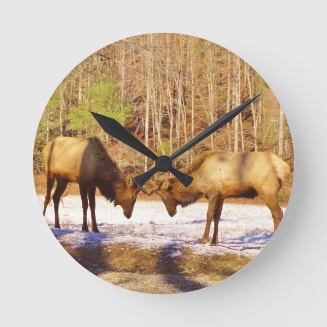 Horloge Ronde 2~ deux Bull Elk dans la neige (Recto)