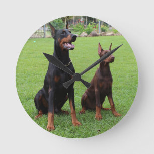 Horloge Ronde 2 dobies.png