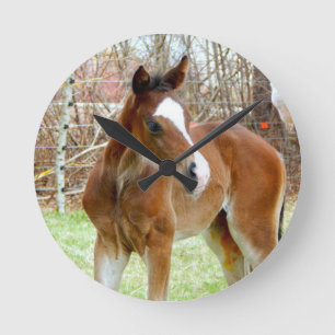 HORLOGE RONDE 2CUT HORSE FOAL BÉBÉ PONY