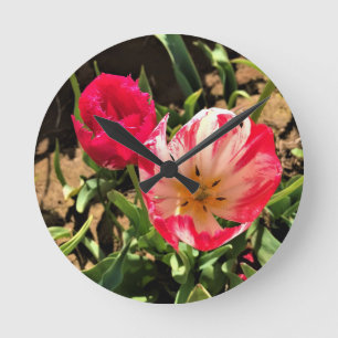 Horloge Ronde À l'intérieur d'une tulipe rose et blanche