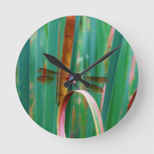 Horloge Ronde A teal Eyed Dragonfly with cattails
