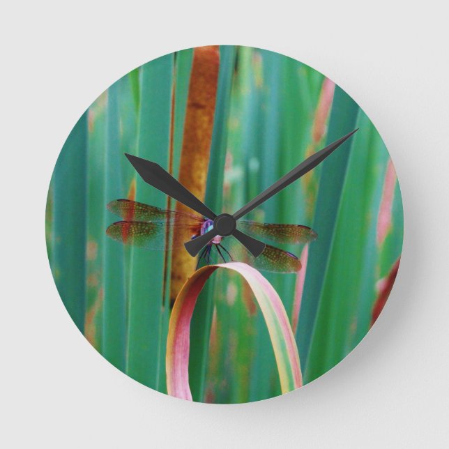 Horloge Ronde A teal Eyed Dragonfly with cattails (Recto)