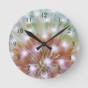 Horloge Ronde Abstract of dandelion seed head