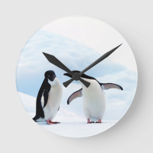 Horloge Ronde Adelie Penguins