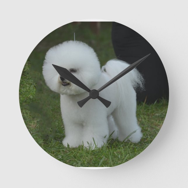 Horloge Ronde Adorable Bichon (Recto)
