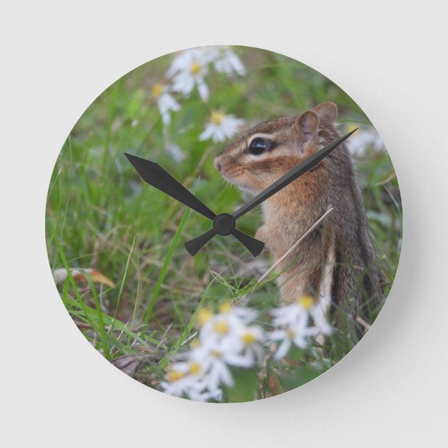Horloge Ronde Adorable Chipmunk en fleurs (Recto)