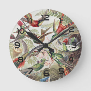 Horloge Ronde Affiche vintage colorée d'Ernst Haeckel sur les co