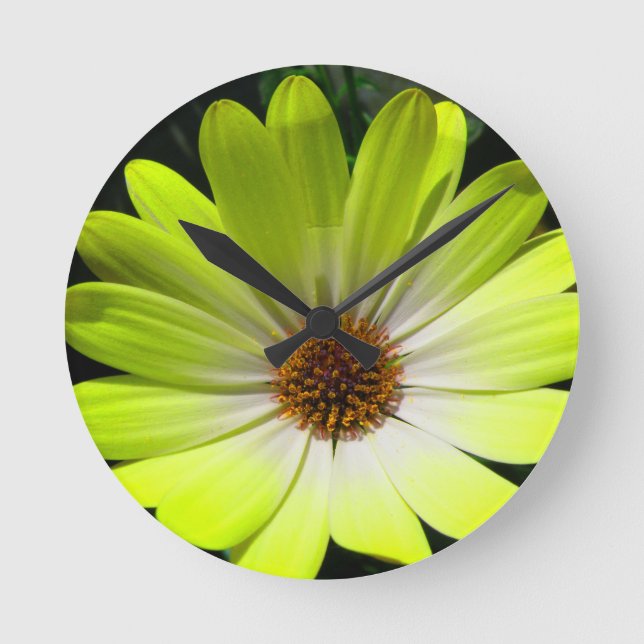 Horloge Ronde African Daisy Fluorescent Yellow Wall Clock (Recto)