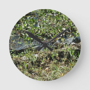 Horloge Ronde Alligator marécageux de Louisiane en Jean Lafitte 