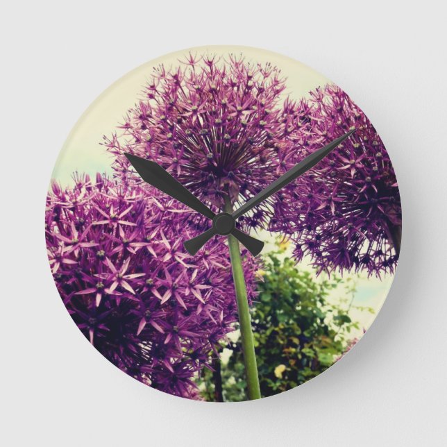 Horloge Ronde Allium pourpre (Recto)